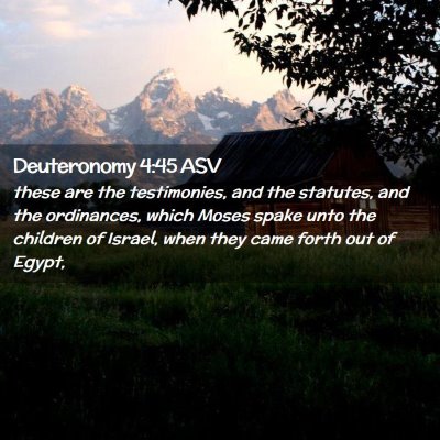 Picture 02 - Deuteronomy 4:45 ASV - these are the testimonies, and the statutes, and - Bible Verse Picture