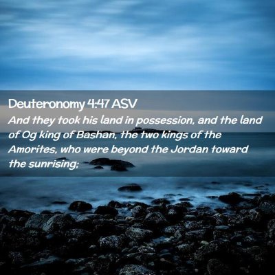 Picture 02 - Deuteronomy 4:47 ASV - And they took his land in possession, and the - Bible Verse Picture