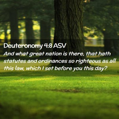 Picture 02 - Deuteronomy 4:8 ASV - And what great nation is there, that hath - Bible Verse Picture