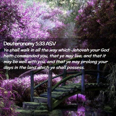 Picture 02 - Deuteronomy 5:33 ASV - Ye shall walk in all the way which Jehovah your - Bible Verse Picture