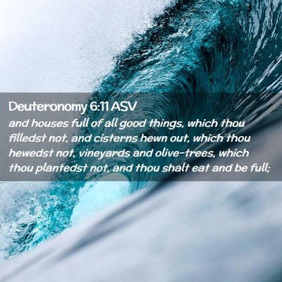 Picture 02 - Deuteronomy 6:11 ASV - and houses full of all good things, which thou - Bible Verse Picture