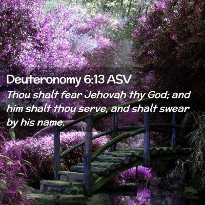 Picture 02 - Deuteronomy 6:13 ASV - Thou shalt fear Jehovah thy God; and him shalt - Bible Verse Picture