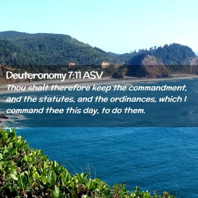 Picture 02 - Deuteronomy 7:11 ASV - Thou shalt therefore keep the commandment, and - Bible Verse Picture