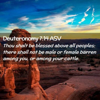Picture 02 - Deuteronomy 7:14 ASV - Thou shalt be blessed above all peoples: there - Bible Verse Picture