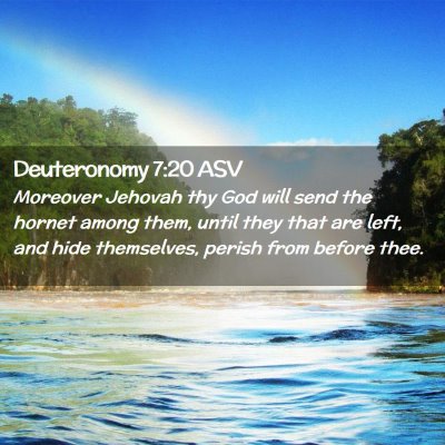 Picture 02 - Deuteronomy 7:20 ASV - Moreover Jehovah thy God will send the hornet - Bible Verse Picture