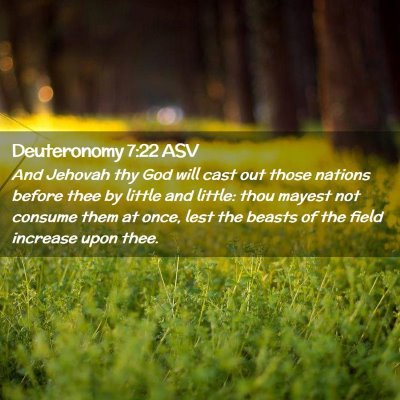 Picture 02 - Deuteronomy 7:22 ASV - And Jehovah thy God will cast out those nations - Bible Verse Picture