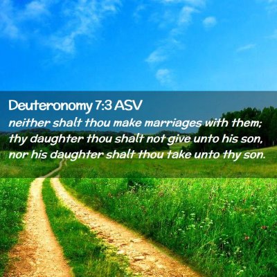 Picture 02 - Deuteronomy 7:3 ASV - neither shalt thou make marriages with them; thy - Bible Verse Picture