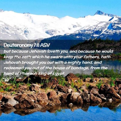 Picture 02 - Deuteronomy 7:8 ASV - but because Jehovah loveth you, and because he - Bible Verse Picture