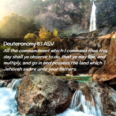 Picture 02 - Deuteronomy 8:1 ASV - All the commandment which I command thee this day - Bible Verse Picture