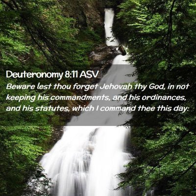 Picture 02 - Deuteronomy 8:11 ASV - Beware lest thou forget Jehovah thy God, in not - Bible Verse Picture