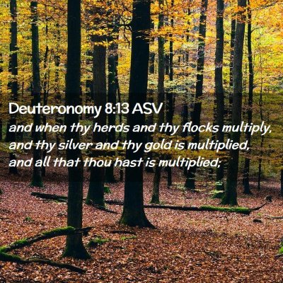Picture 02 - Deuteronomy 8:13 ASV - and when thy herds and thy flocks multiply, and - Bible Verse Picture