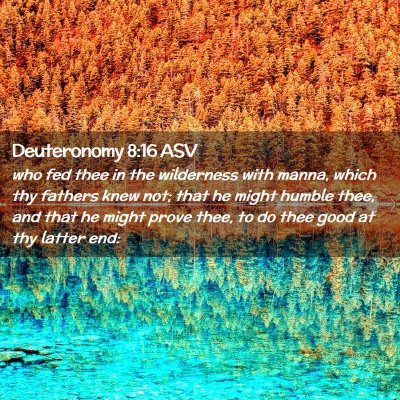 Picture 02 - Deuteronomy 8:16 ASV - who fed thee in the wilderness with manna, which - Bible Verse Picture