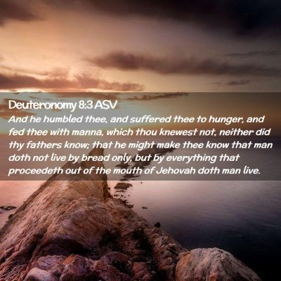 Picture 02 - Deuteronomy 8:3 ASV - And he humbled thee, and suffered thee to hunger, - Bible Verse Picture