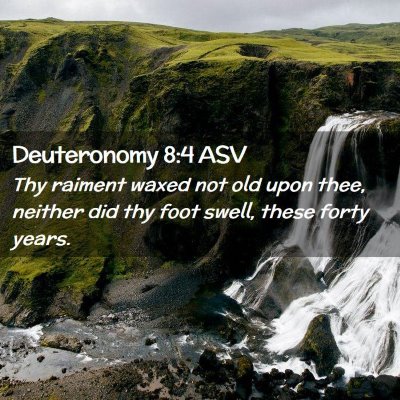 Picture 02 - Deuteronomy 8:4 ASV - Thy raiment waxed not old upon thee, neither did - Bible Verse Picture