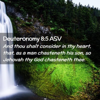 Picture 02 - Deuteronomy 8:5 ASV - And thou shalt consider in thy heart, that, as a - Bible Verse Picture