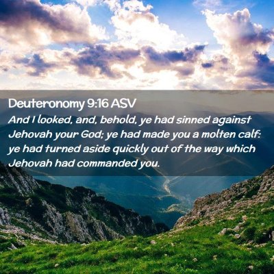 Picture 02 - Deuteronomy 9:16 ASV - And I looked, and, behold, ye had sinned against - Bible Verse Picture