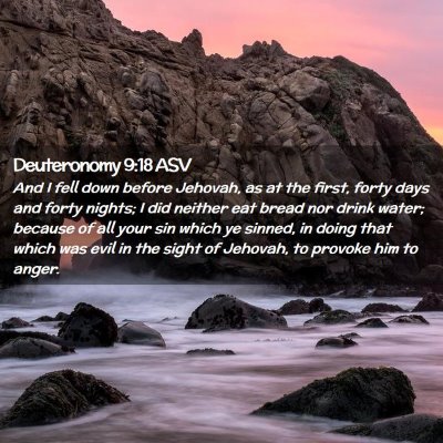 Picture 02 - Deuteronomy 9:18 ASV - And I fell down before Jehovah, as at the first, - Bible Verse Picture