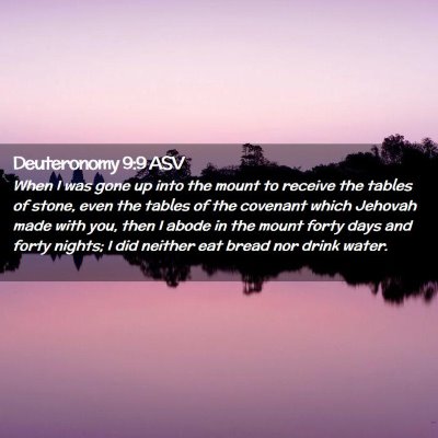 Picture 02 - Deuteronomy 9:9 ASV - When I was gone up into the mount to receive the - Bible Verse Picture