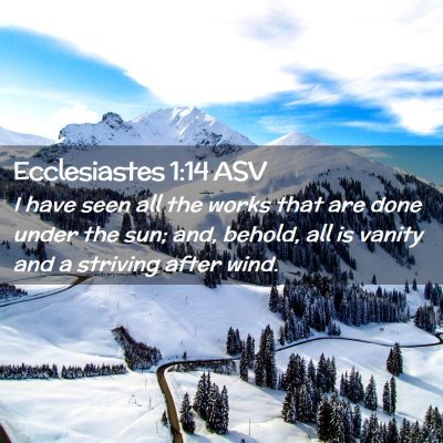 Picture 02 - Ecclesiastes 1:14 ASV - I have seen all the works that are done under the - Bible Verse Picture
