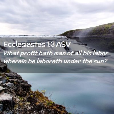 Picture 02 - Ecclesiastes 1:3 ASV - What profit hath man of all his labor wherein he - Bible Verse Picture