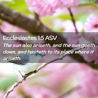 Picture 02 - Ecclesiastes 1:5 ASV - The sun also ariseth, and the sun goeth down, and - Bible Verse Picture