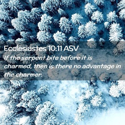 Picture 02 - Ecclesiastes 10:11 ASV - If the serpent bite before it is charmed, then is - Bible Verse Picture