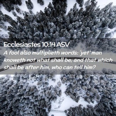Picture 02 - Ecclesiastes 10:14 ASV - A fool also multiplieth words: `yet' man knoweth - Bible Verse Picture