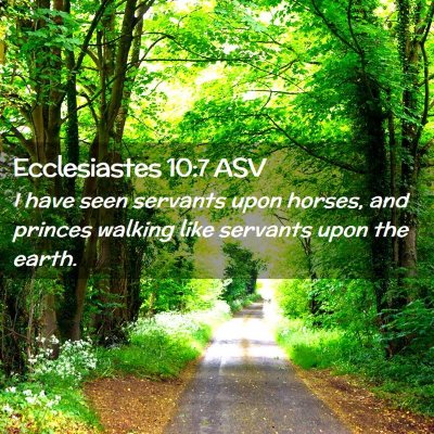 Picture 02 - Ecclesiastes 10:7 ASV - I have seen servants upon horses, and princes - Bible Verse Picture