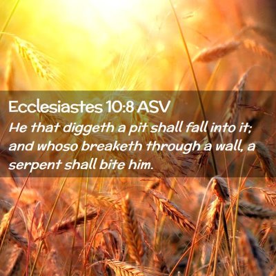 Picture 02 - Ecclesiastes 10:8 ASV - He that diggeth a pit shall fall into it; and - Bible Verse Picture