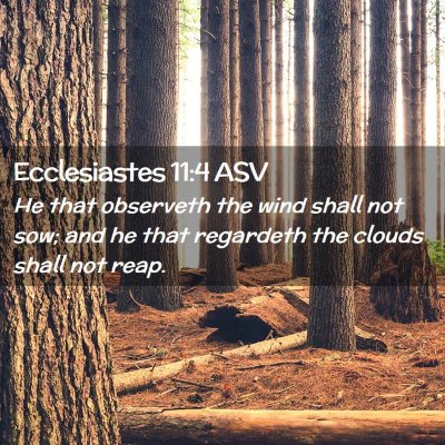 Picture 02 - Ecclesiastes 11:4 ASV - He that observeth the wind shall not sow; and he - Bible Verse Picture