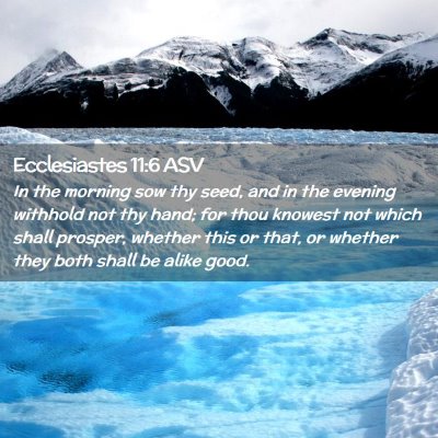 Picture 02 - Ecclesiastes 11:6 ASV - In the morning sow thy seed, and in the evening - Bible Verse Picture