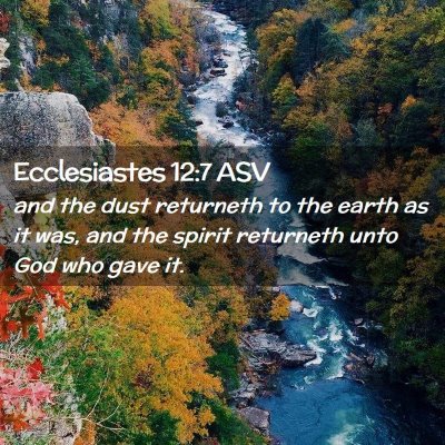Picture 02 - Ecclesiastes 12:7 ASV - and the dust returneth to the earth as it was, - Bible Verse Picture