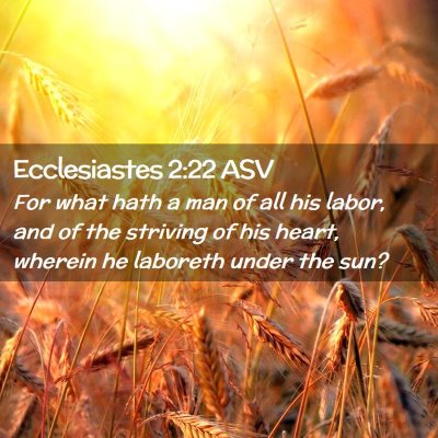 Picture 02 - Ecclesiastes 2:22 ASV - For what hath a man of all his labor, and of the - Bible Verse Picture
