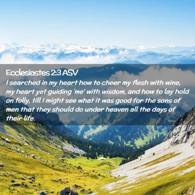 Picture 02 - Ecclesiastes 2:3 ASV - I searched in my heart how to cheer my flesh with - Bible Verse Picture