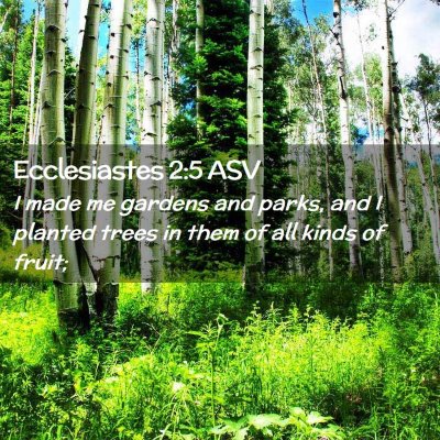 Picture 02 - Ecclesiastes 2:5 ASV - I made me gardens and parks, and I planted trees - Bible Verse Picture