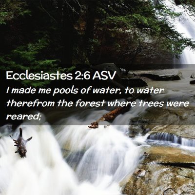 Picture 02 - Ecclesiastes 2:6 ASV - I made me pools of water, to water therefrom the - Bible Verse Picture