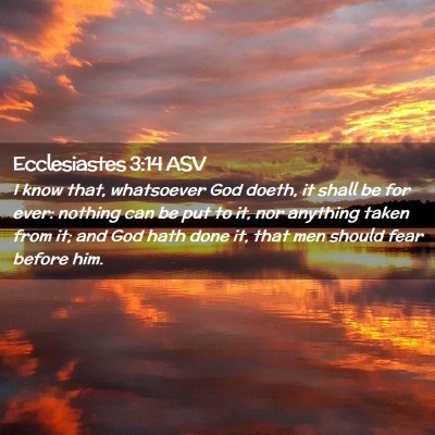 Picture 02 - Ecclesiastes 3:14 ASV - I know that, whatsoever God doeth, it shall be - Bible Verse Picture