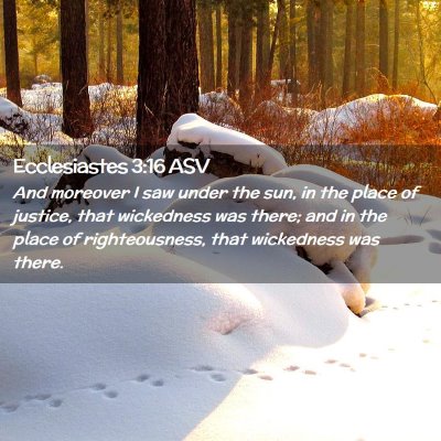 Picture 02 - Ecclesiastes 3:16 ASV - And moreover I saw under the sun, in the place of - Bible Verse Picture
