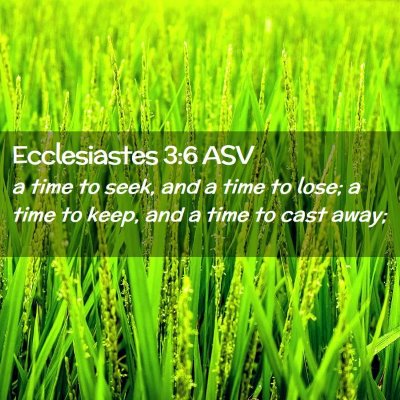Picture 02 - Ecclesiastes 3:6 ASV - a time to seek, and a time to lose; a time to - Bible Verse Picture
