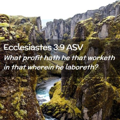 Picture 02 - Ecclesiastes 3:9 ASV - What profit hath he that worketh in that wherein - Bible Verse Picture
