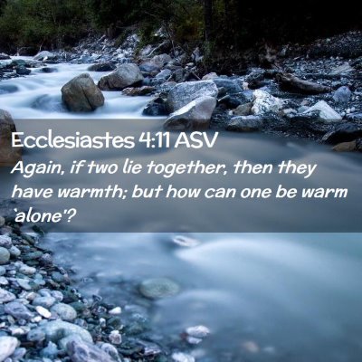 Picture 02 - Ecclesiastes 4:11 ASV - Again, if two lie together, then they have - Bible Verse Picture