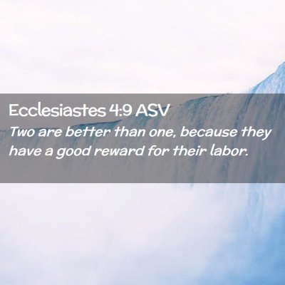 Picture 02 - Ecclesiastes 4:9 ASV - Two are better than one, because they have a good - Bible Verse Picture