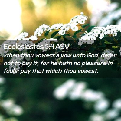 Picture 02 - Ecclesiastes 5:4 ASV - When thou vowest a vow unto God, defer not to pay - Bible Verse Picture
