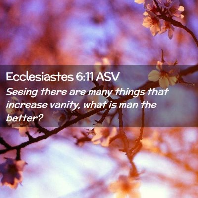 Picture 02 - Ecclesiastes 6:11 ASV - Seeing there are many things that increase - Bible Verse Picture
