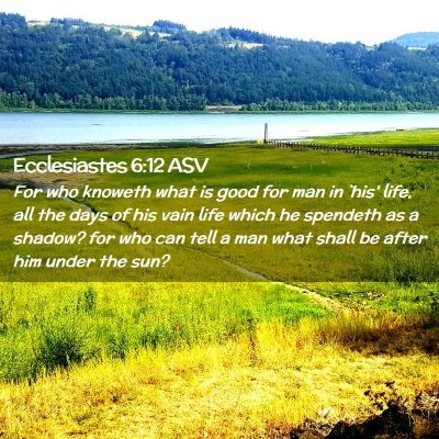 Picture 02 - Ecclesiastes 6:12 ASV - For who knoweth what is good for man in `his' - Bible Verse Picture