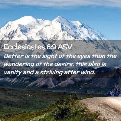 Picture 02 - Ecclesiastes 6:9 ASV - Better is the sight of the eyes than the - Bible Verse Picture