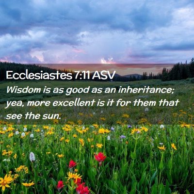 Picture 02 - Ecclesiastes 7:11 ASV - Wisdom is as good as an inheritance; yea, more - Bible Verse Picture