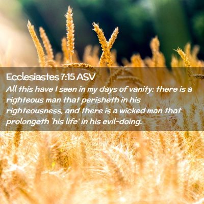 Picture 02 - Ecclesiastes 7:15 ASV - All this have I seen in my days of vanity: there - Bible Verse Picture