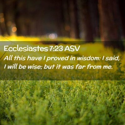 Picture 02 - Ecclesiastes 7:23 ASV - All this have I proved in wisdom: I said, I will - Bible Verse Picture