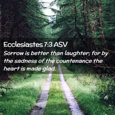 Picture 02 - Ecclesiastes 7:3 ASV - Sorrow is better than laughter; for by the - Bible Verse Picture